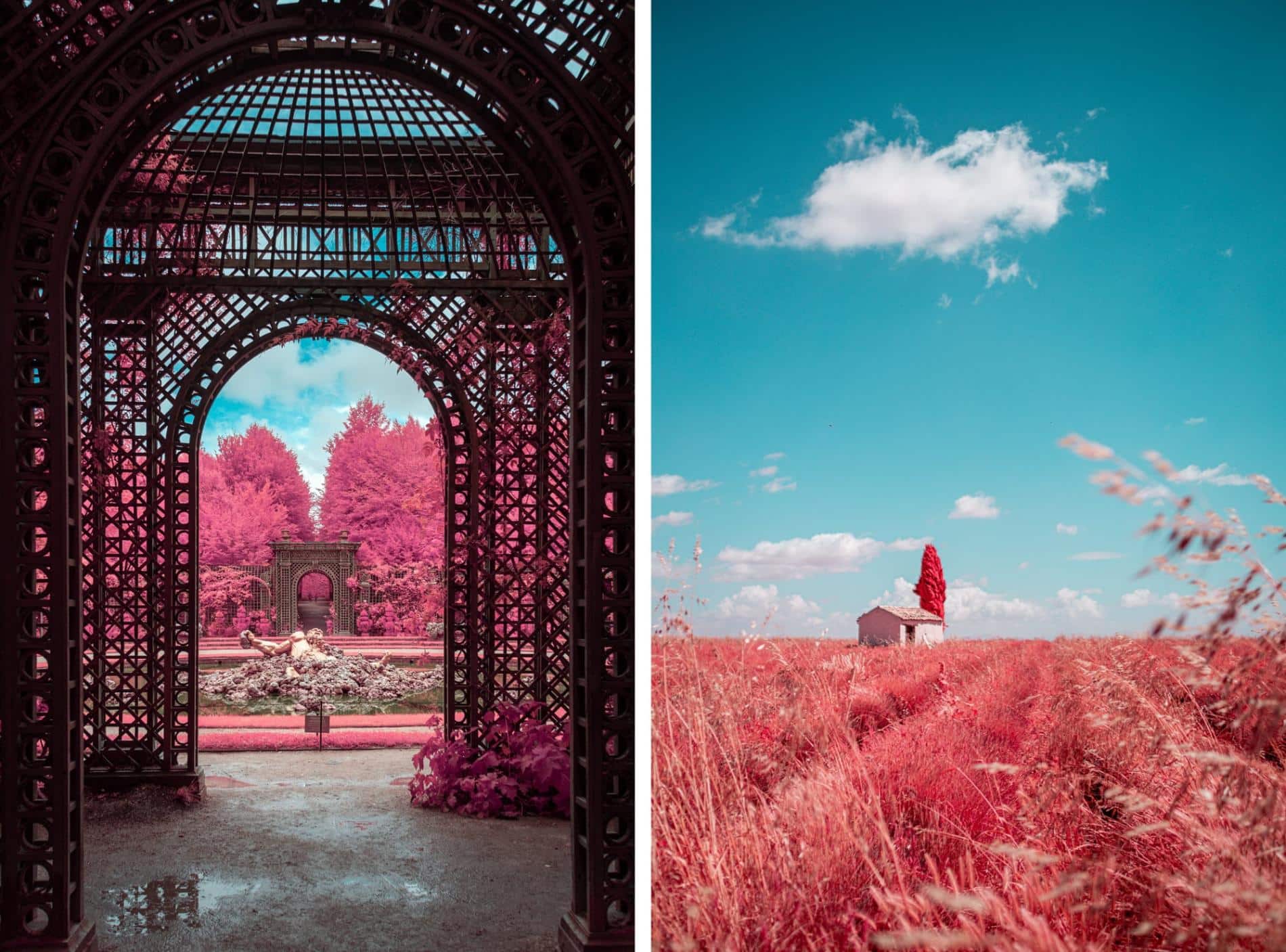 fotografia infrajoga de Paolo Pettigiani jardin con arcos y espigas que se agitan