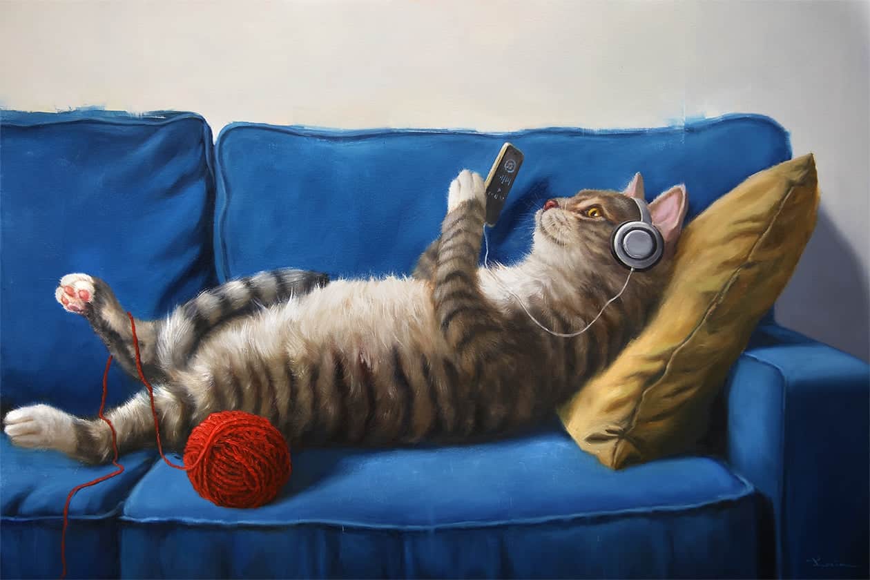 lucia_heffernan_ gato con cascos y movil