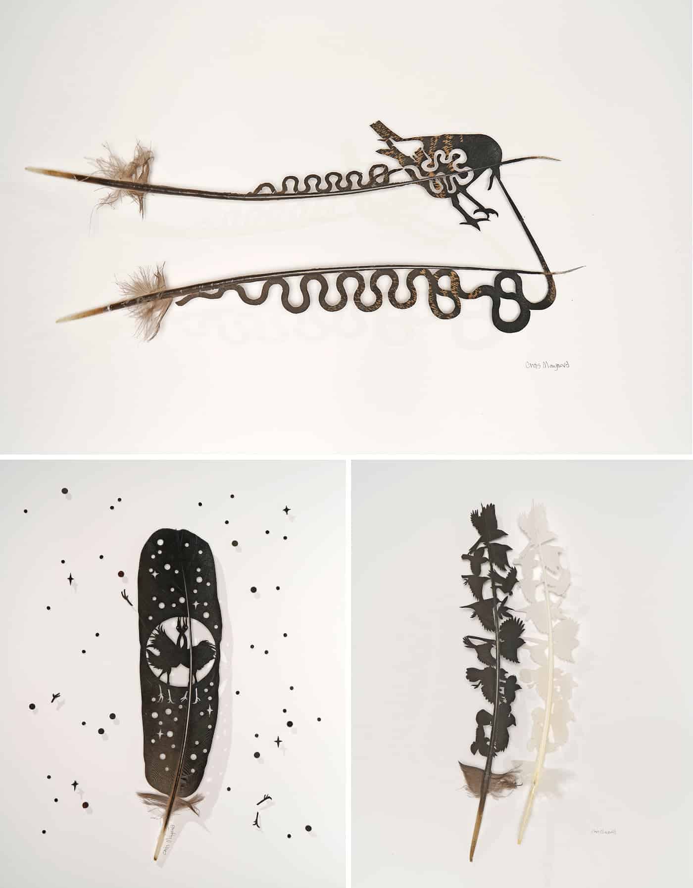 plumas obra de arte Chris Maynard