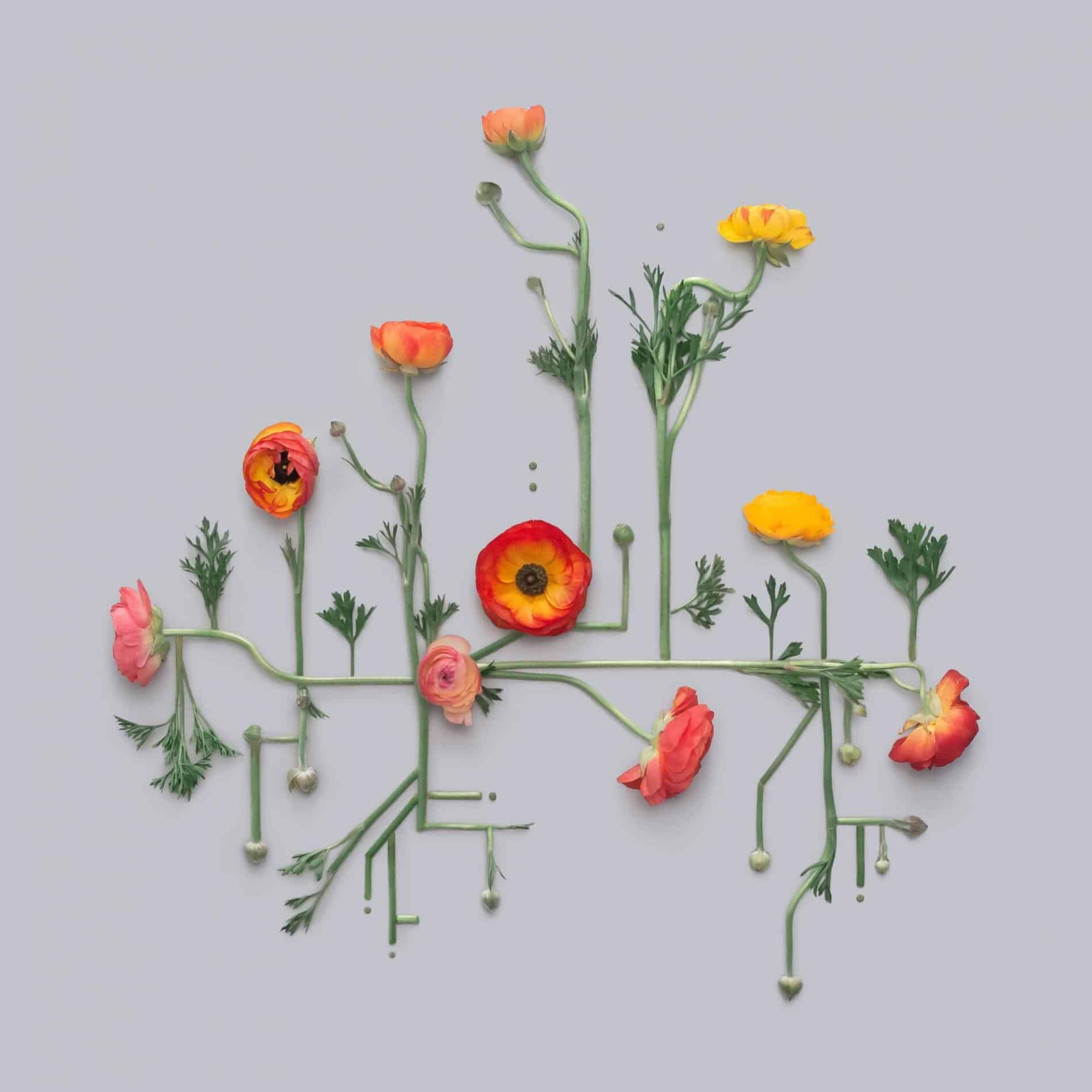 kristen meyers flat lays diseños geometricos con flores lineas