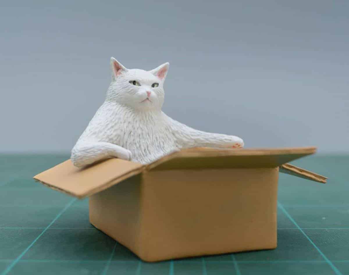 meetissai esculruras de memes de animales gato en caja