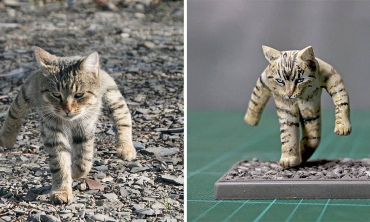 meetissai esculruras de memes de animales gato pelea