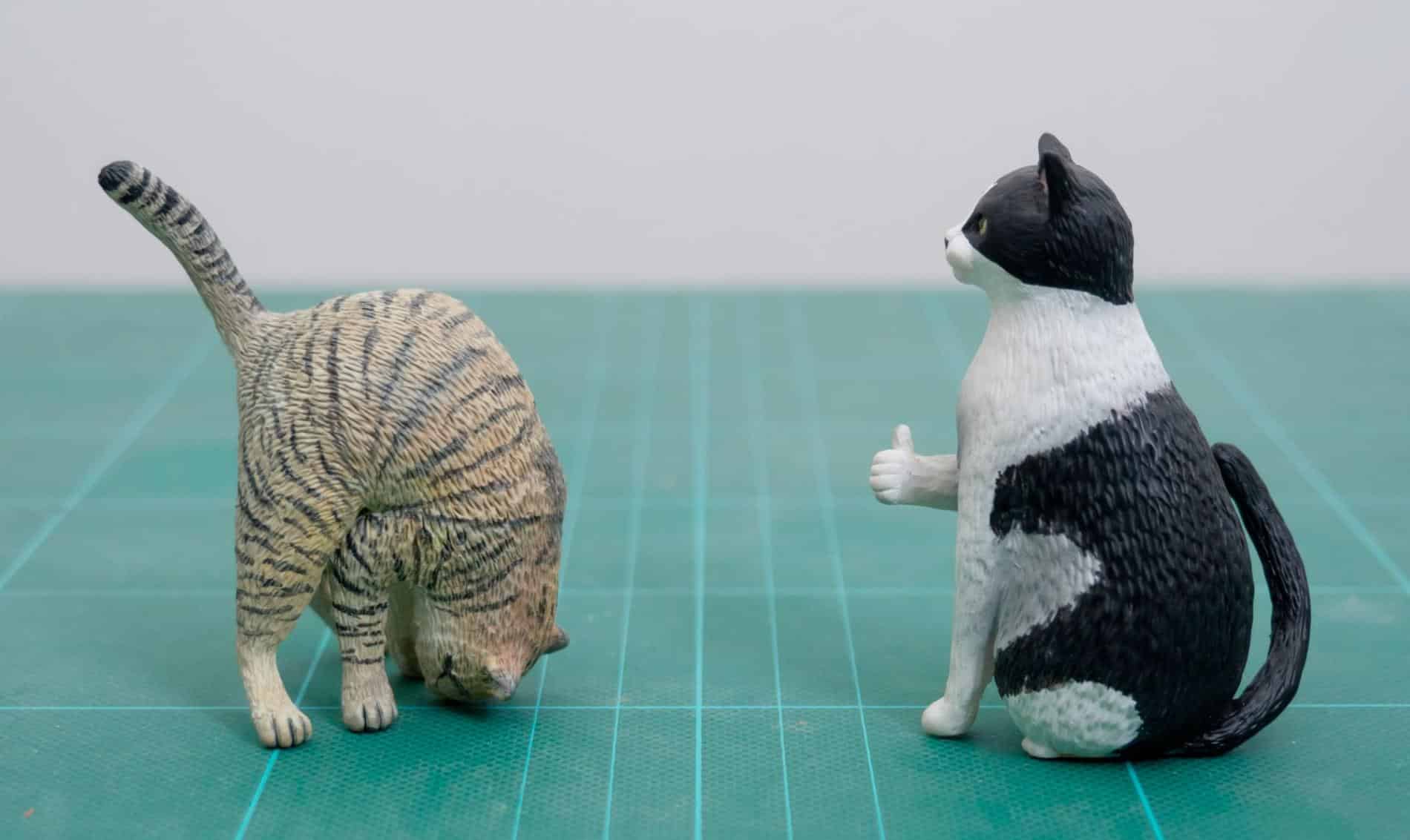 meetissai esculruras de memes de animales gatos amigos