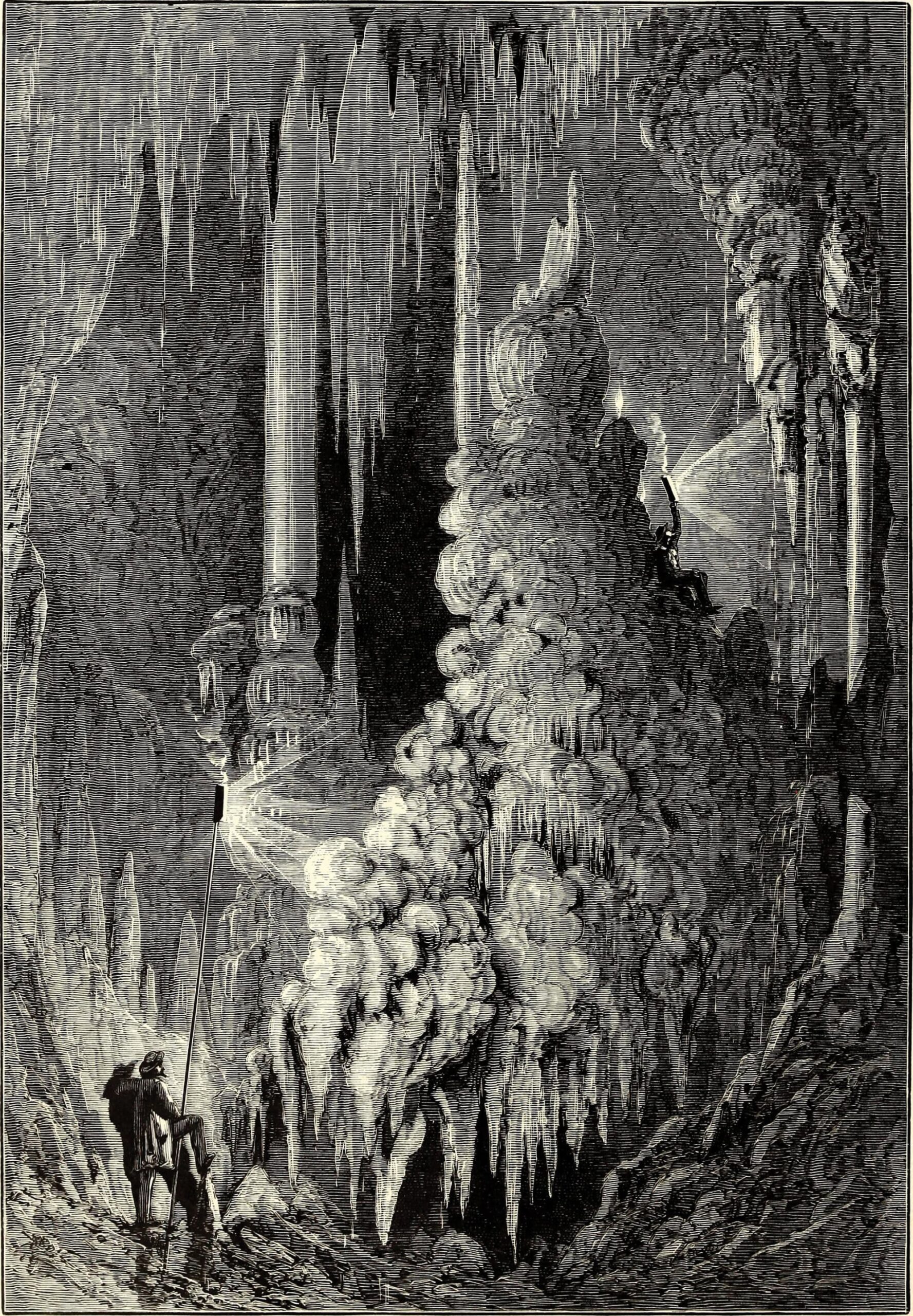 oliver B Bunce and William C Cullen, ilustraciones vintage de expediciones botanicas en el libro diseño salvaje