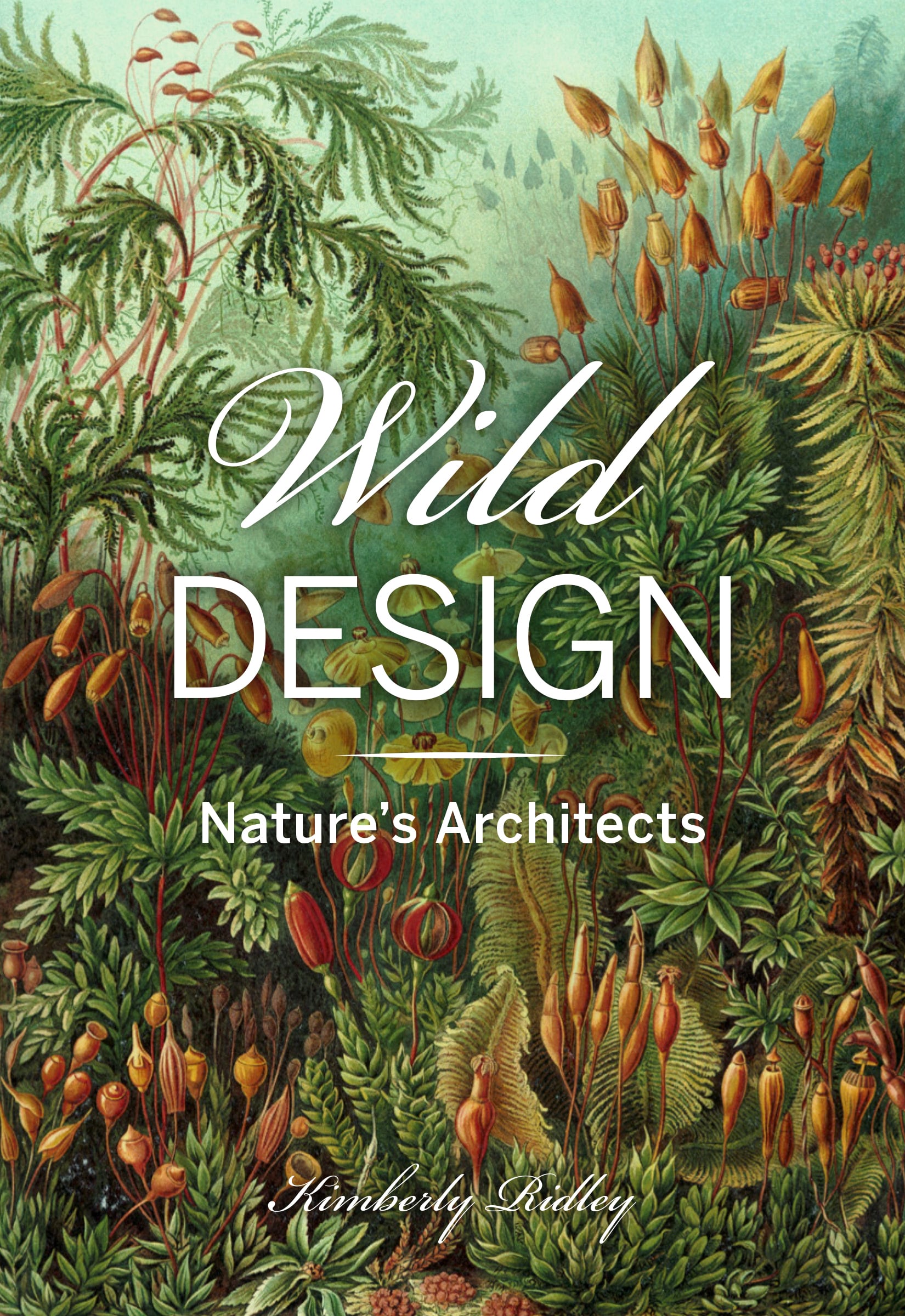 portada del libro naturaleza salvaje de Kimberly Ridley