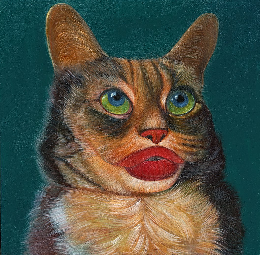 Gregory Jacobsen gamour cats naranja