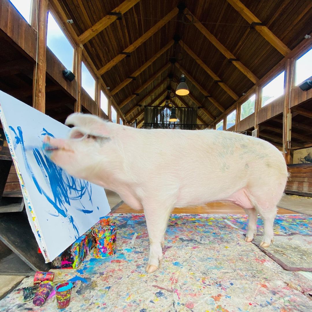 PIGCASSO EL CERDITO ARTISTA