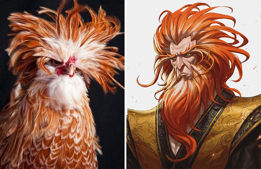 diseño de personajes nitro animales anime ave