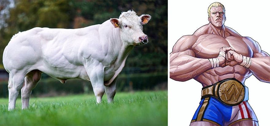 diseño de personajes nitro animales anime belgian blue