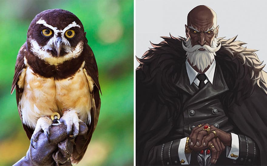 diseño de personajes nitro animales anime buho