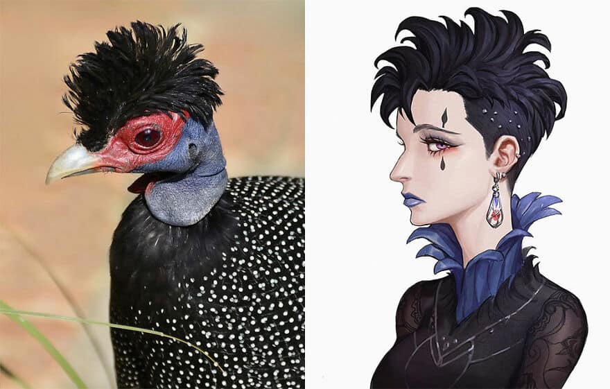 diseño de personajes nitro animales anime dos guineafowl
