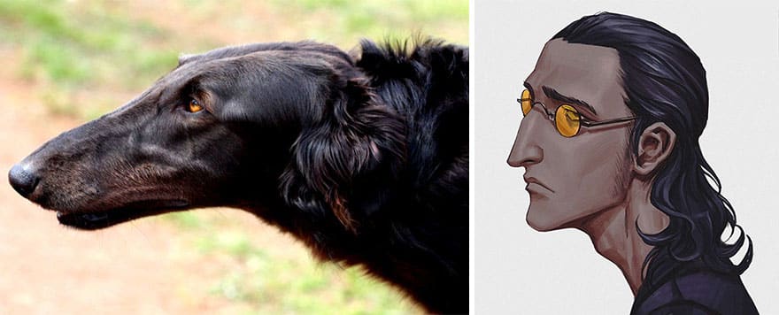 diseño de personajes nitro animales anime perro