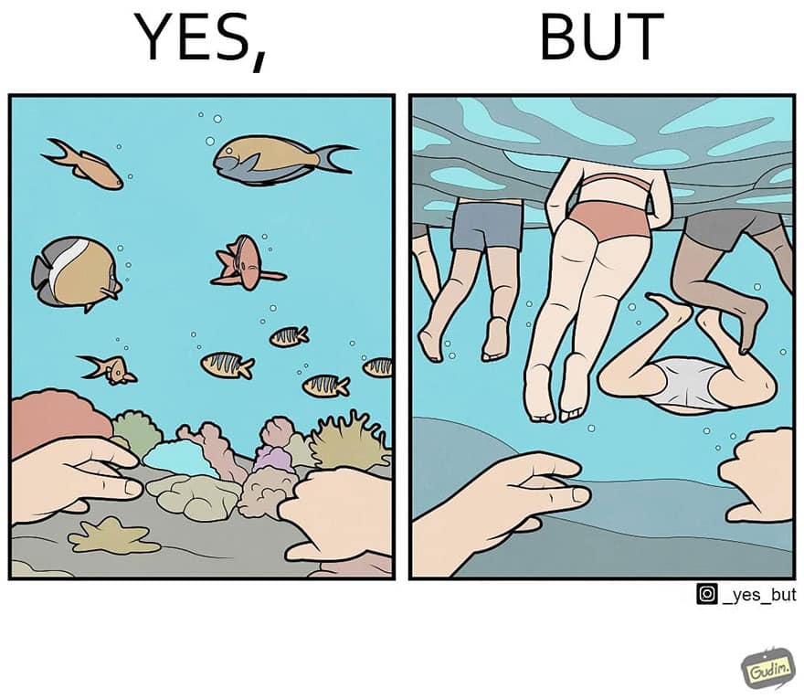 yes but anton gudim buceo