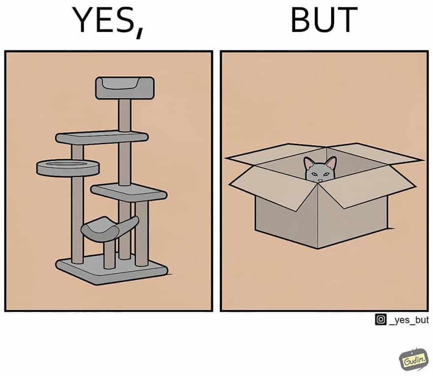 yes but anton gudim ironia de los gatos, caja de carton y rascador de gato