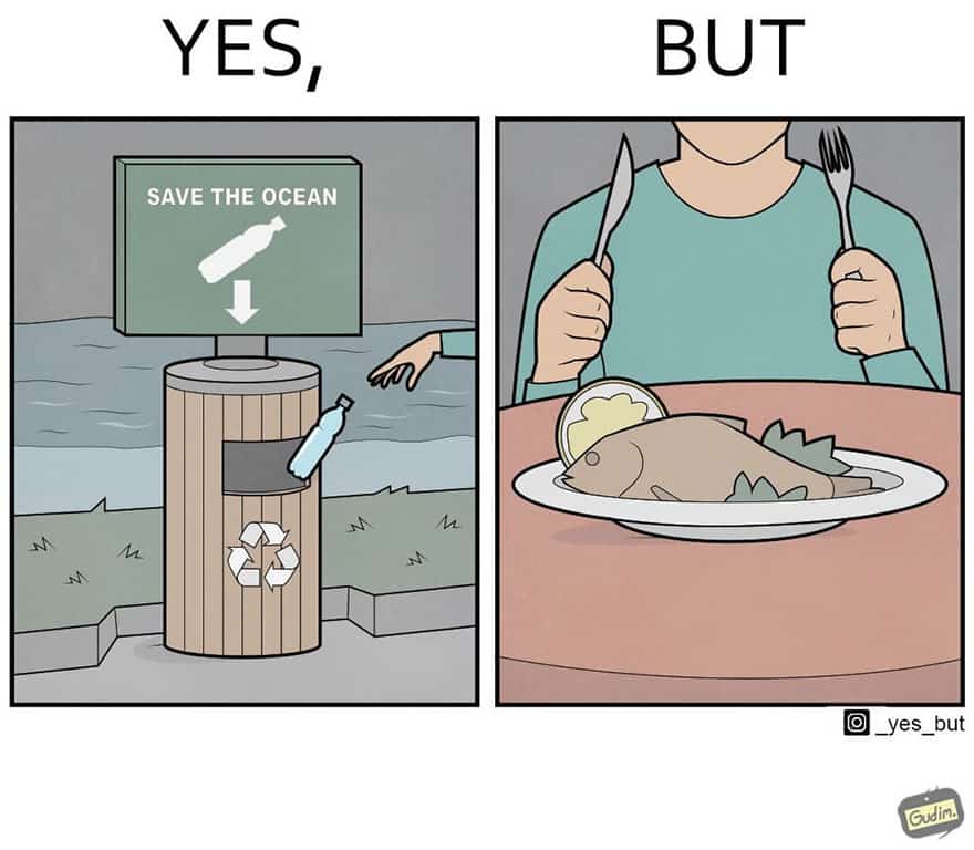 yes but anton gudim save the ocean