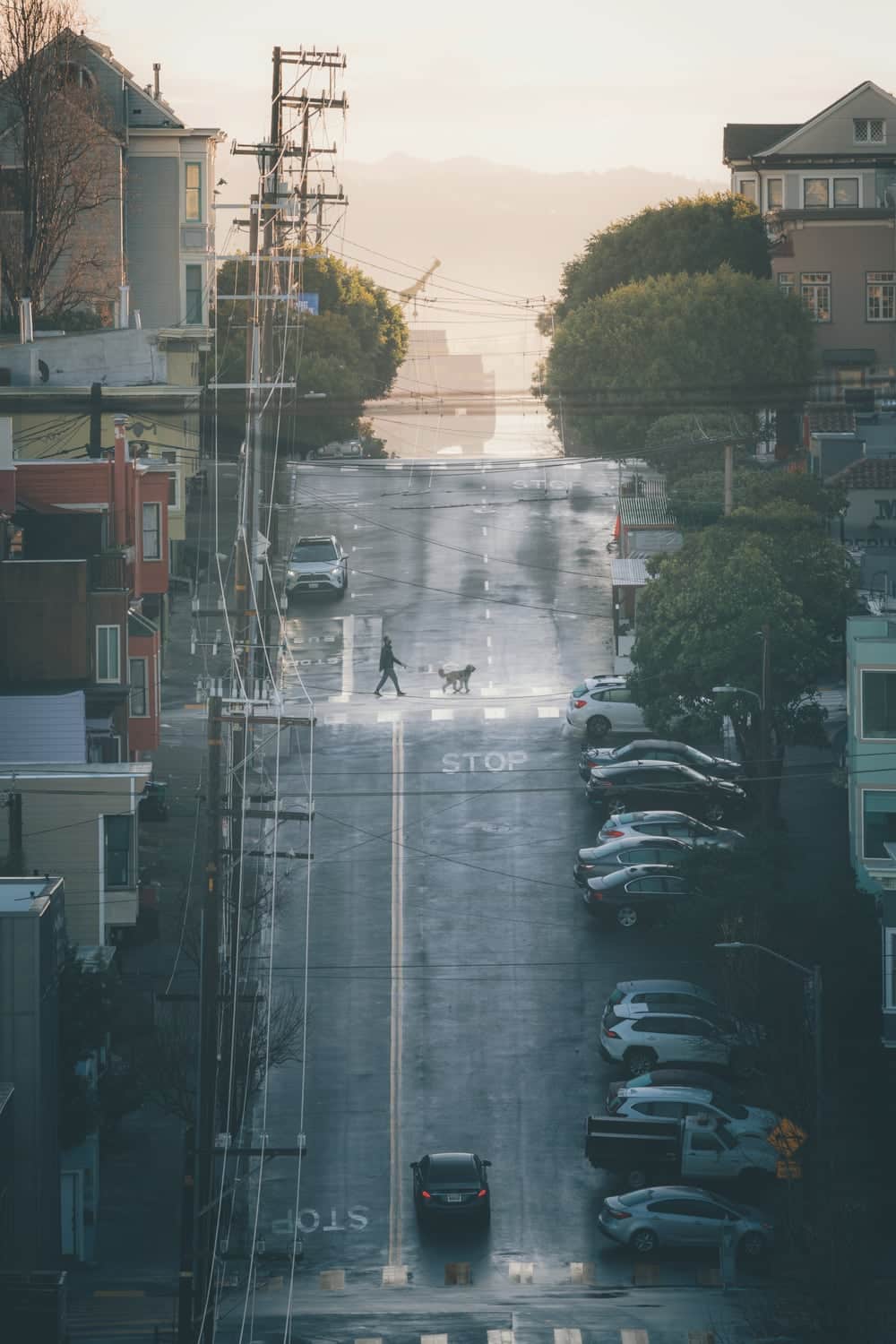 Joshua Singh fotografia callejera de san francisco niebla calles