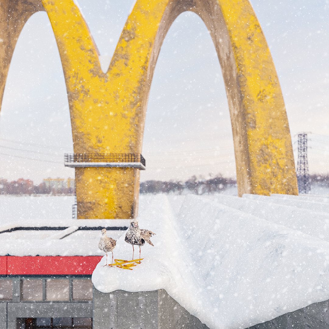 Quin Wu mc donalds distopia detalle aves