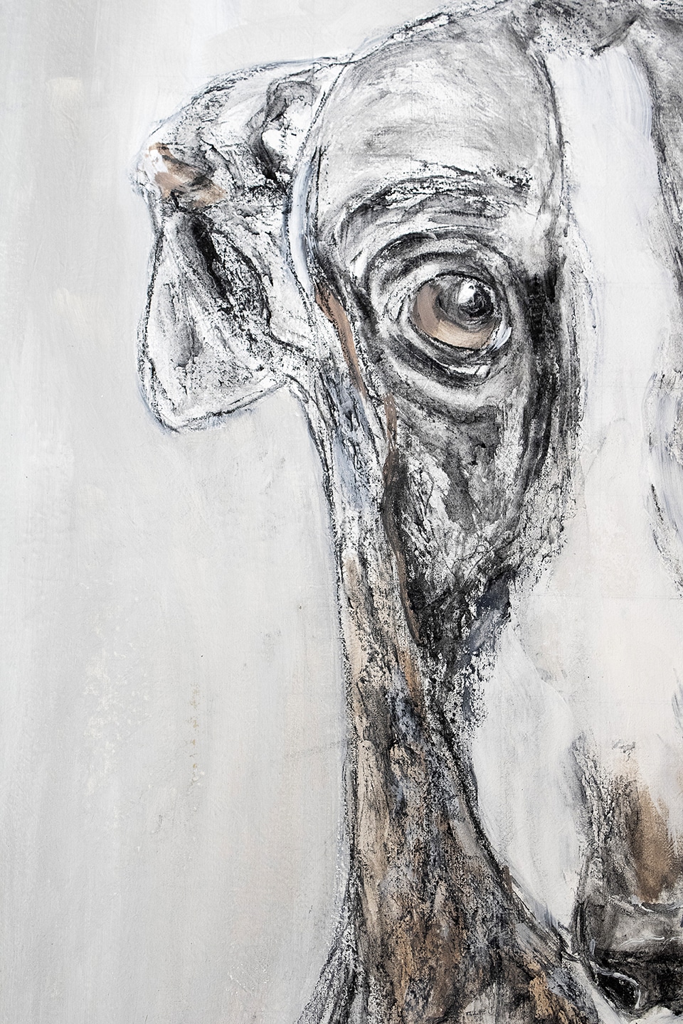 galgo cynthia nudel