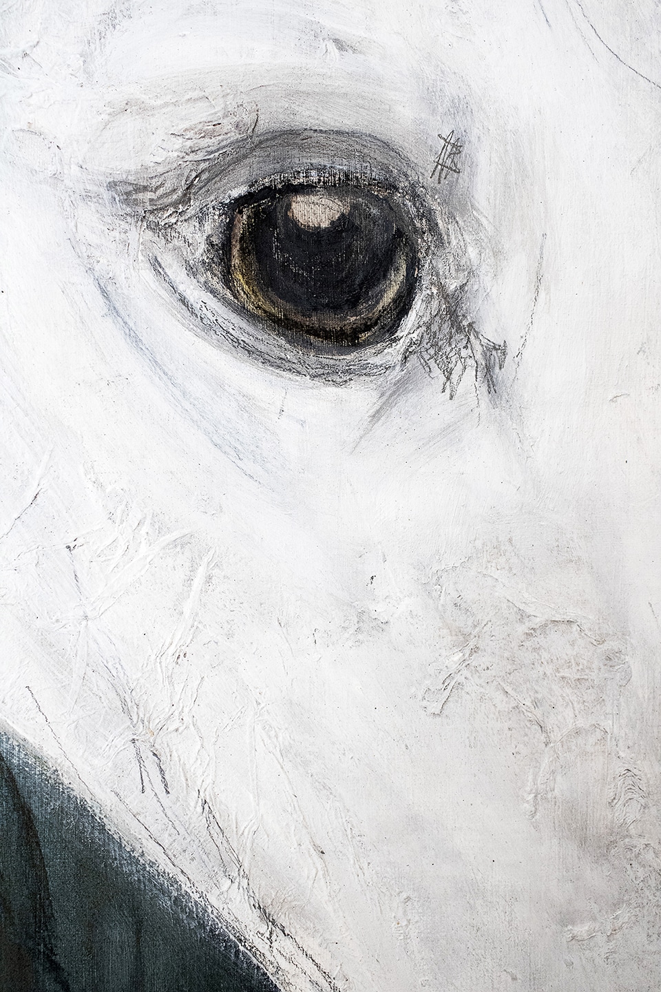 galgos y arte en la obra de cynthia nudel