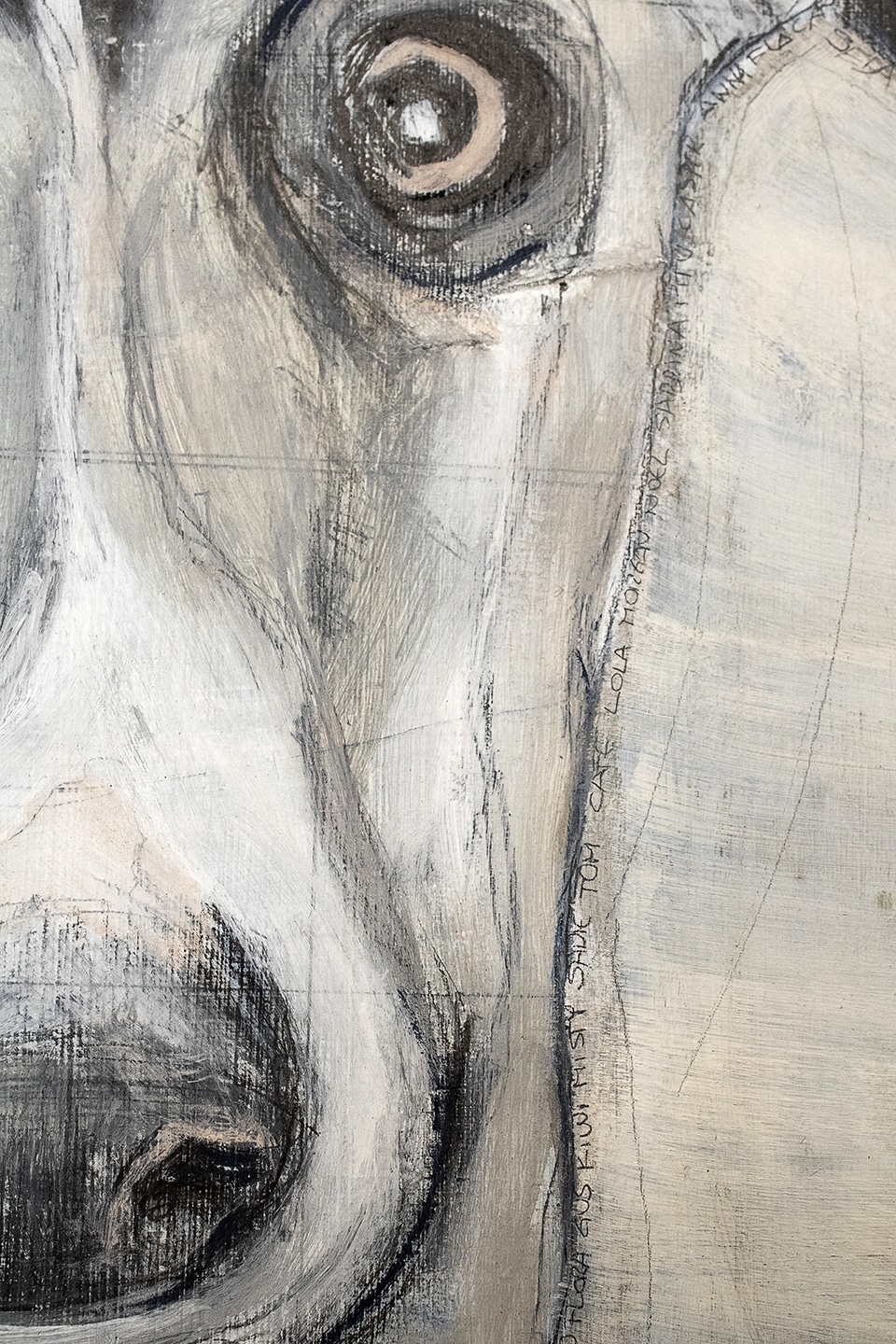 la mirada de un galgo cynthia nudel