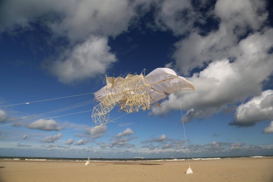 Uros Kirn Ader, Noorderstrand Scheveningen (2021)
