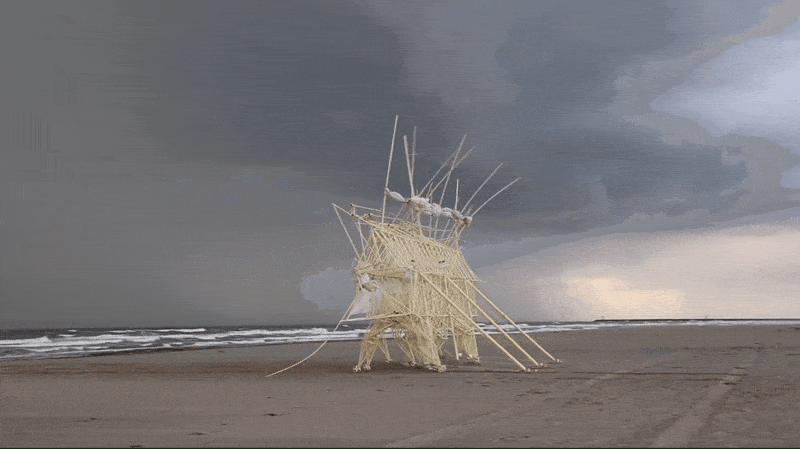 jansen stranbeest arena crituras voladoras g