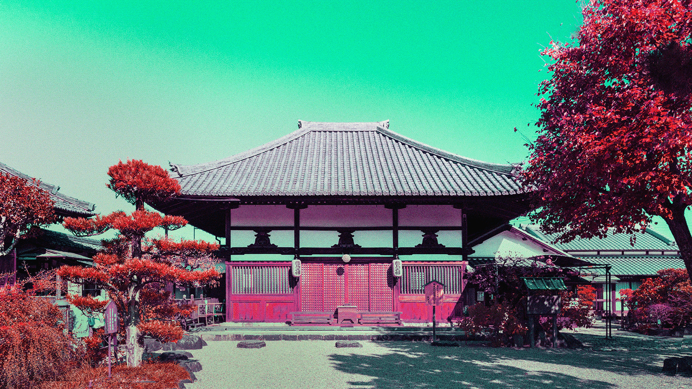 Hashira Yamamoto asuka serie fotografia infrarroja japon