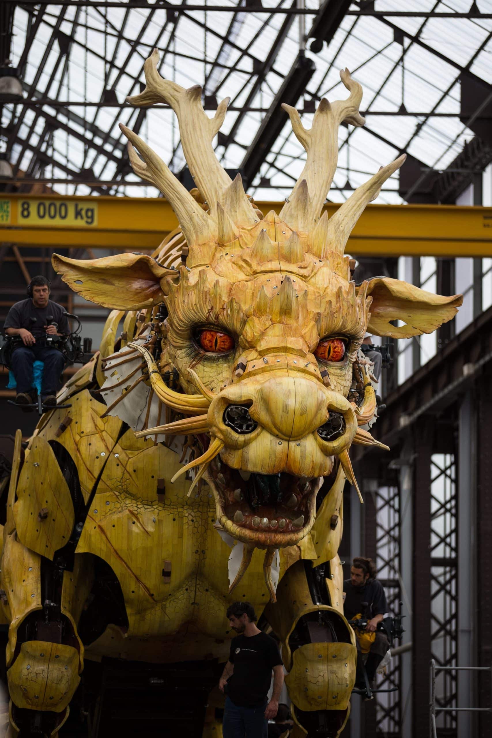 la machine dragon caballo