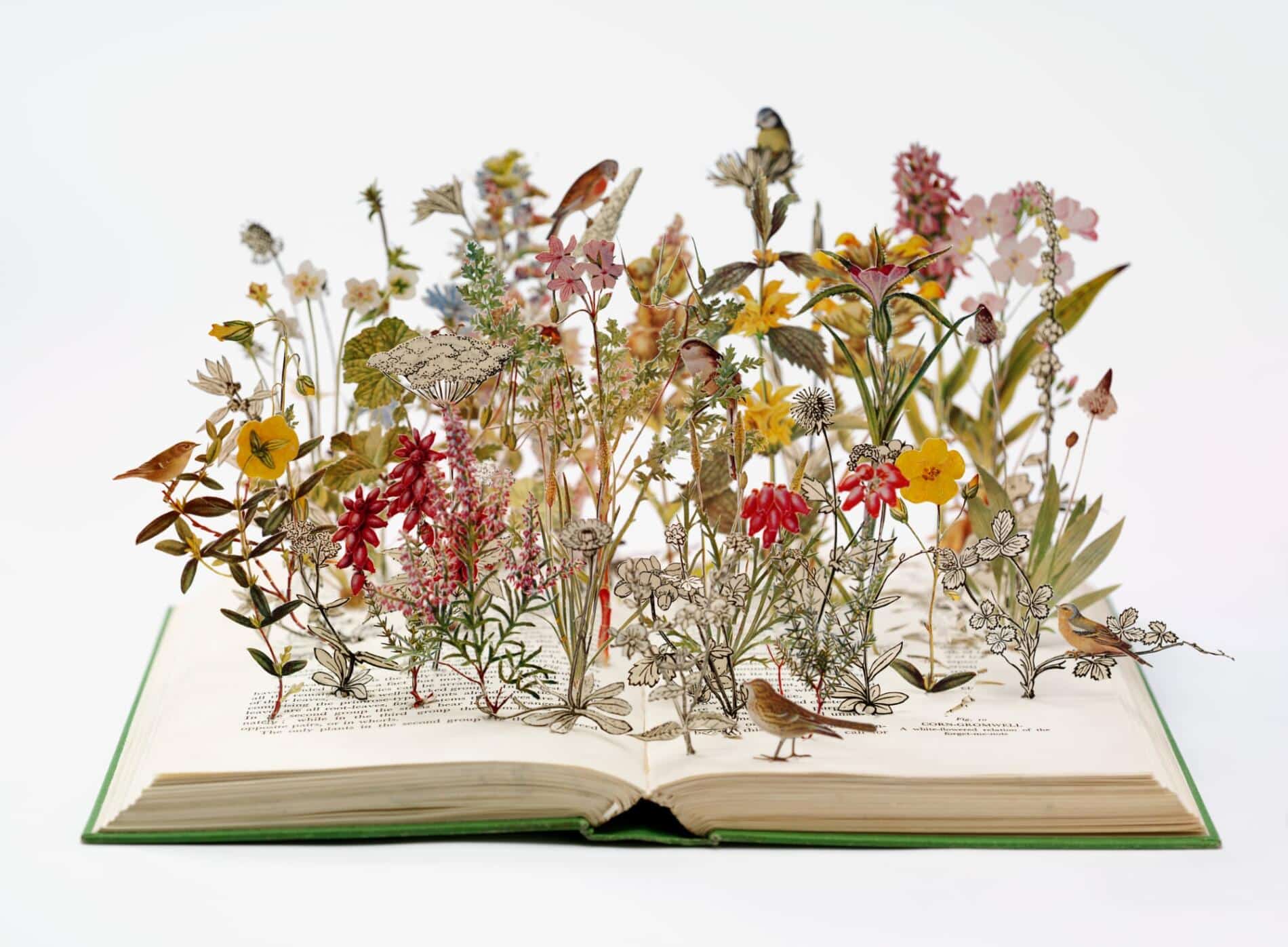 Su Blackwell, escultura de libros