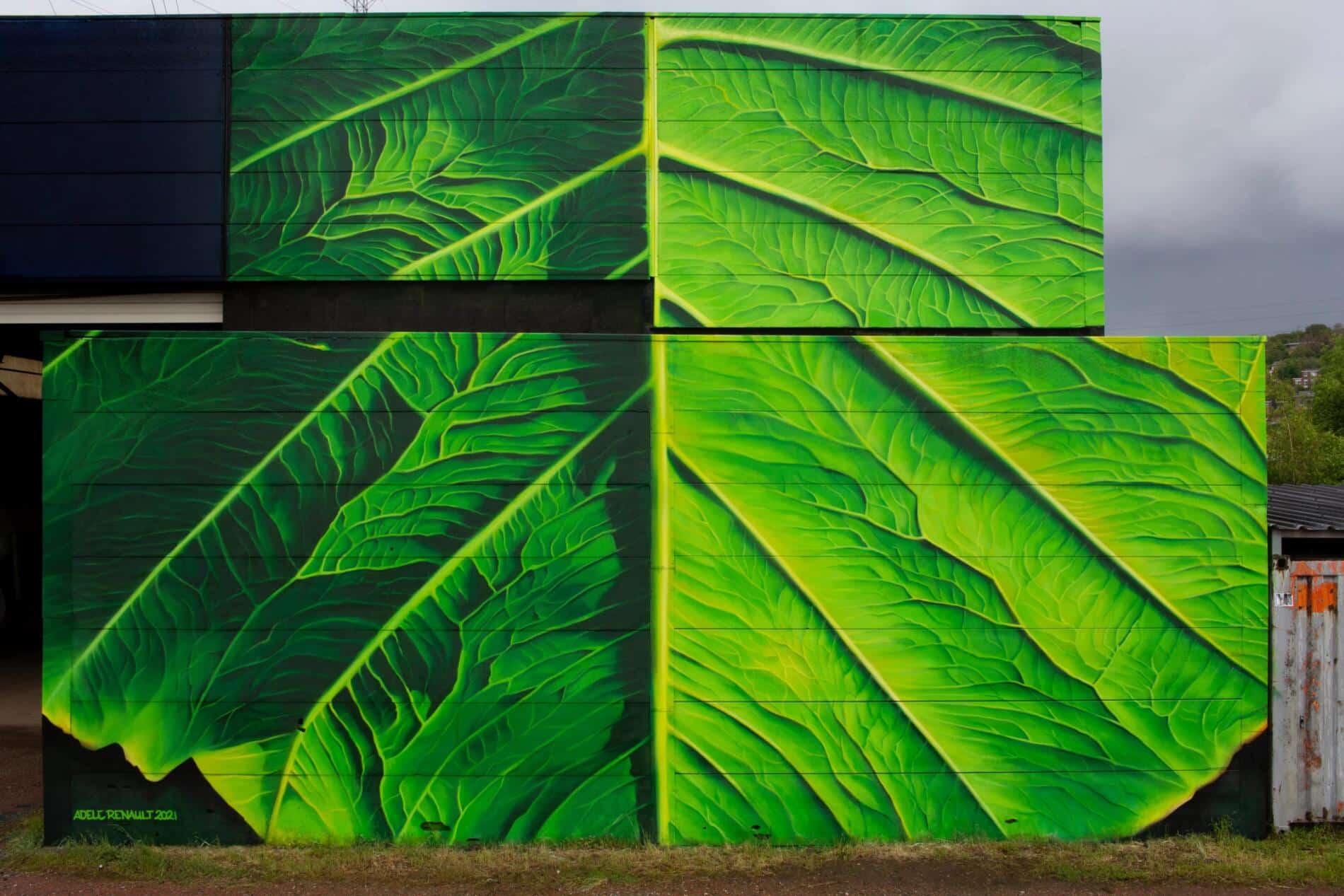adele renault murales pantasia graffituis realistas