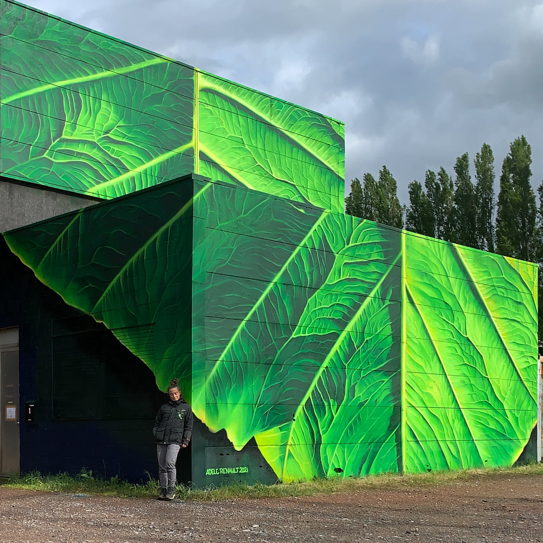 adele renault murales pantasia