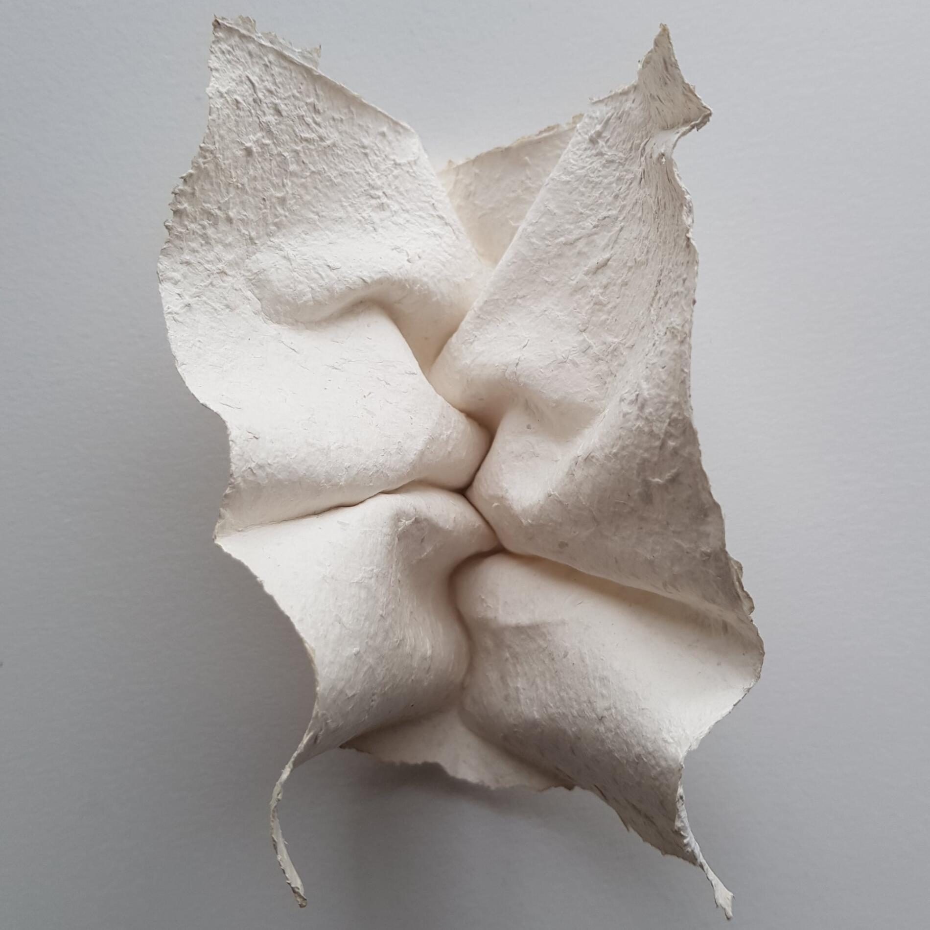 verity cara intimidad esculturas de papel polly verity corrugado