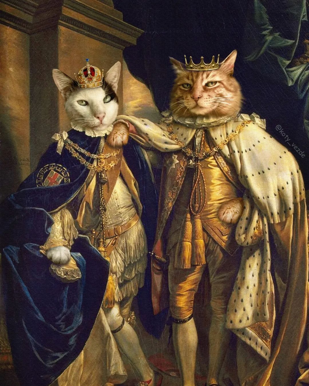 Bugaevskaya gatos @koty_vezdese reyes