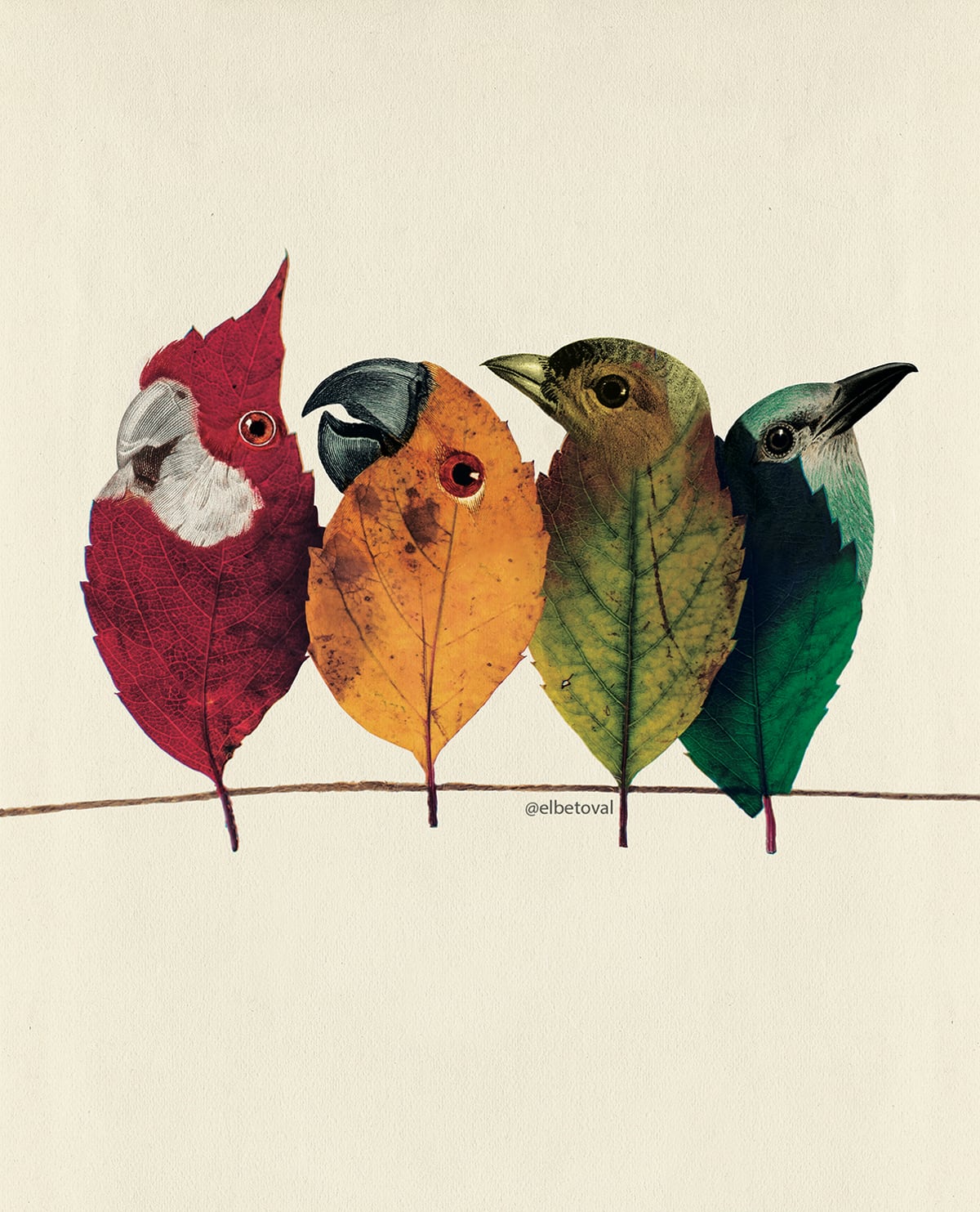 COLLAGE DE BETO VAL SURREAL HOJAS AVE