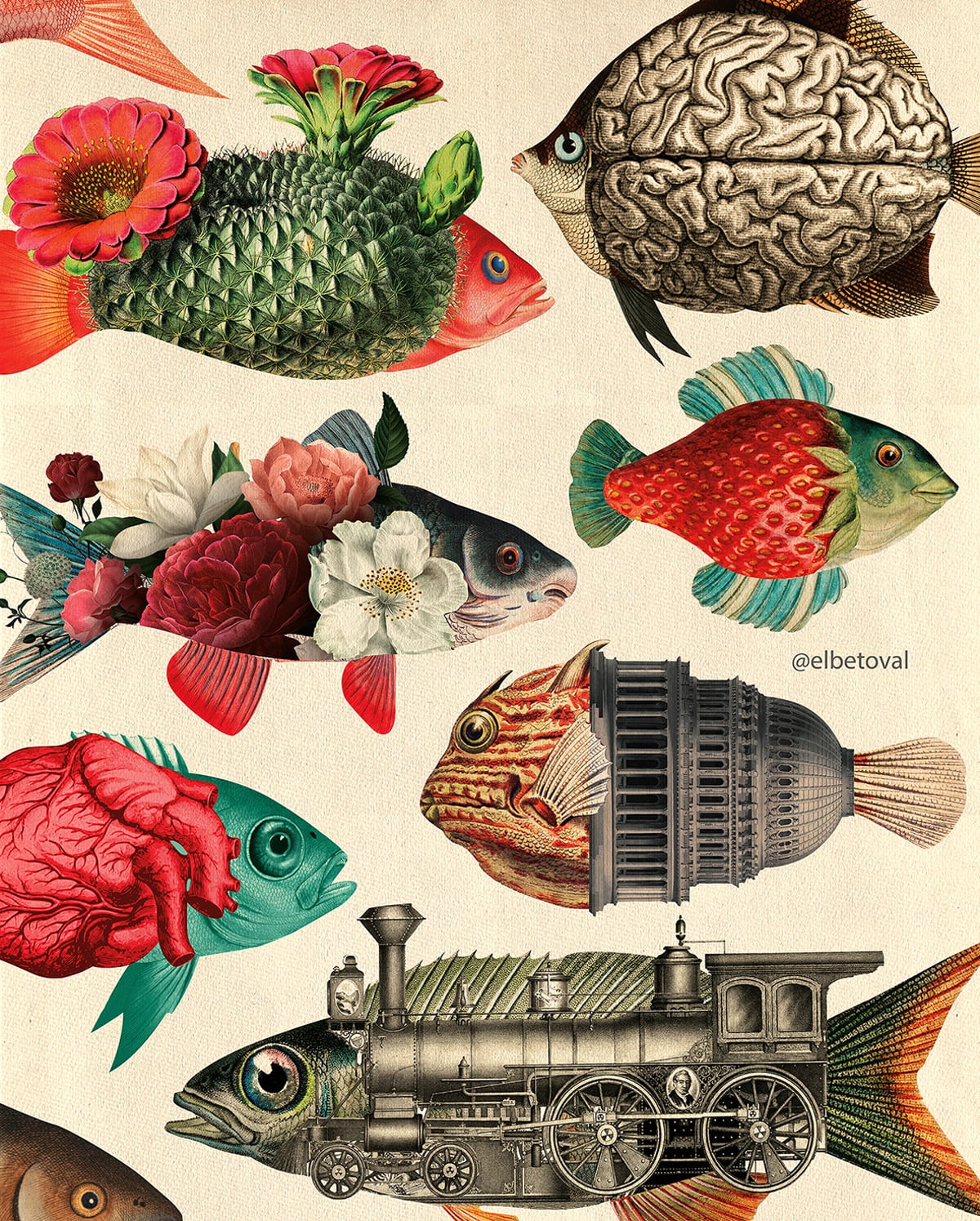 COLLAGE DE BETO VAL SURREAL PECES VARIOS