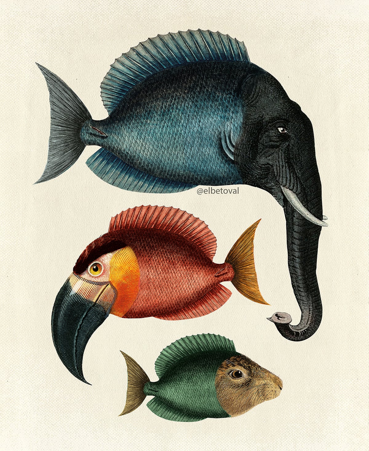 COLLAGE DE BETO VAL SURREAL PECES