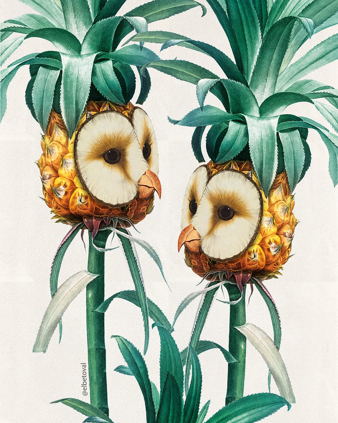 COLLAGE DE BETO VAL SURREAL PIÑA BUHO