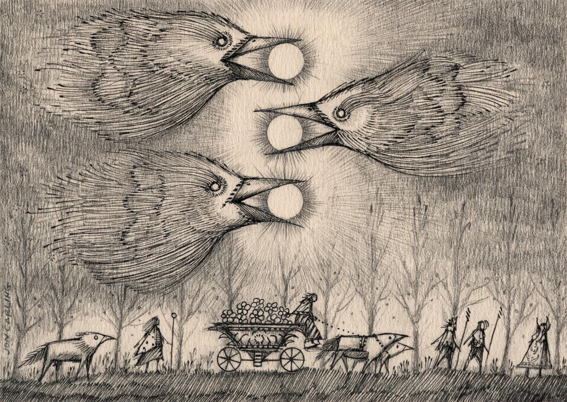 JIN CARLING ILUSTRACION AVES