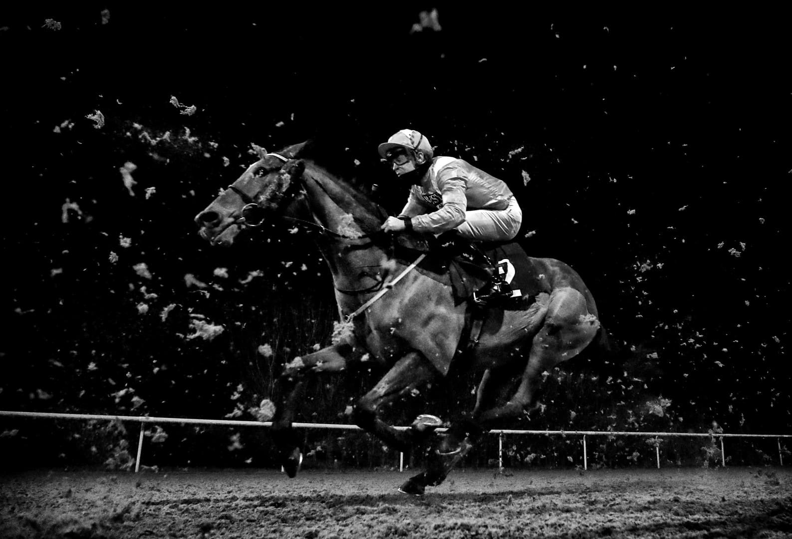 fotografia ganadora world sport photography awards ecuestre
