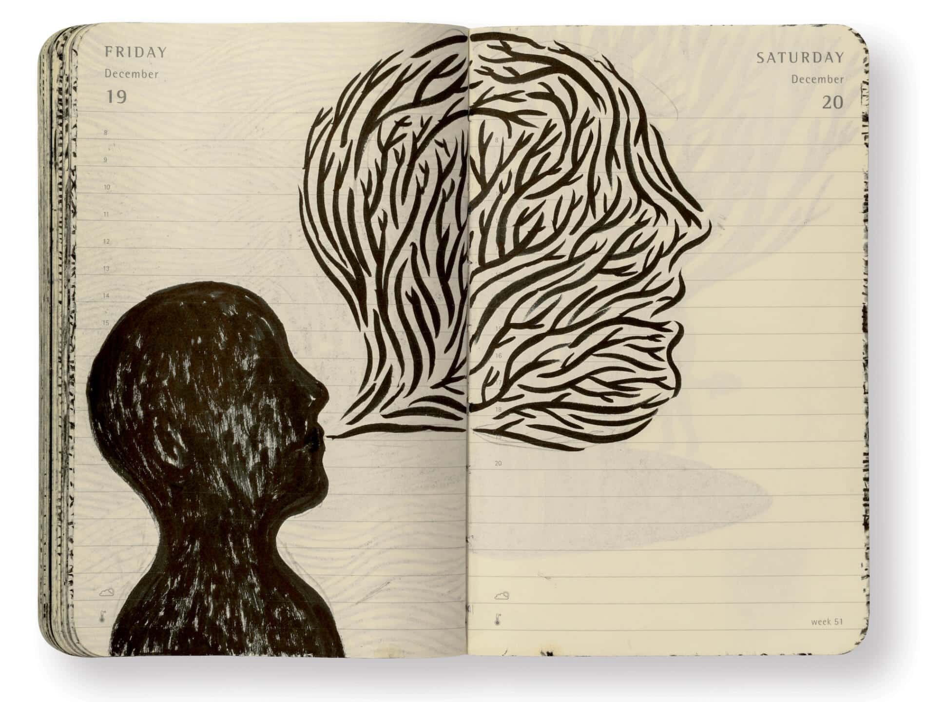 pepe carrio diario visual lineas