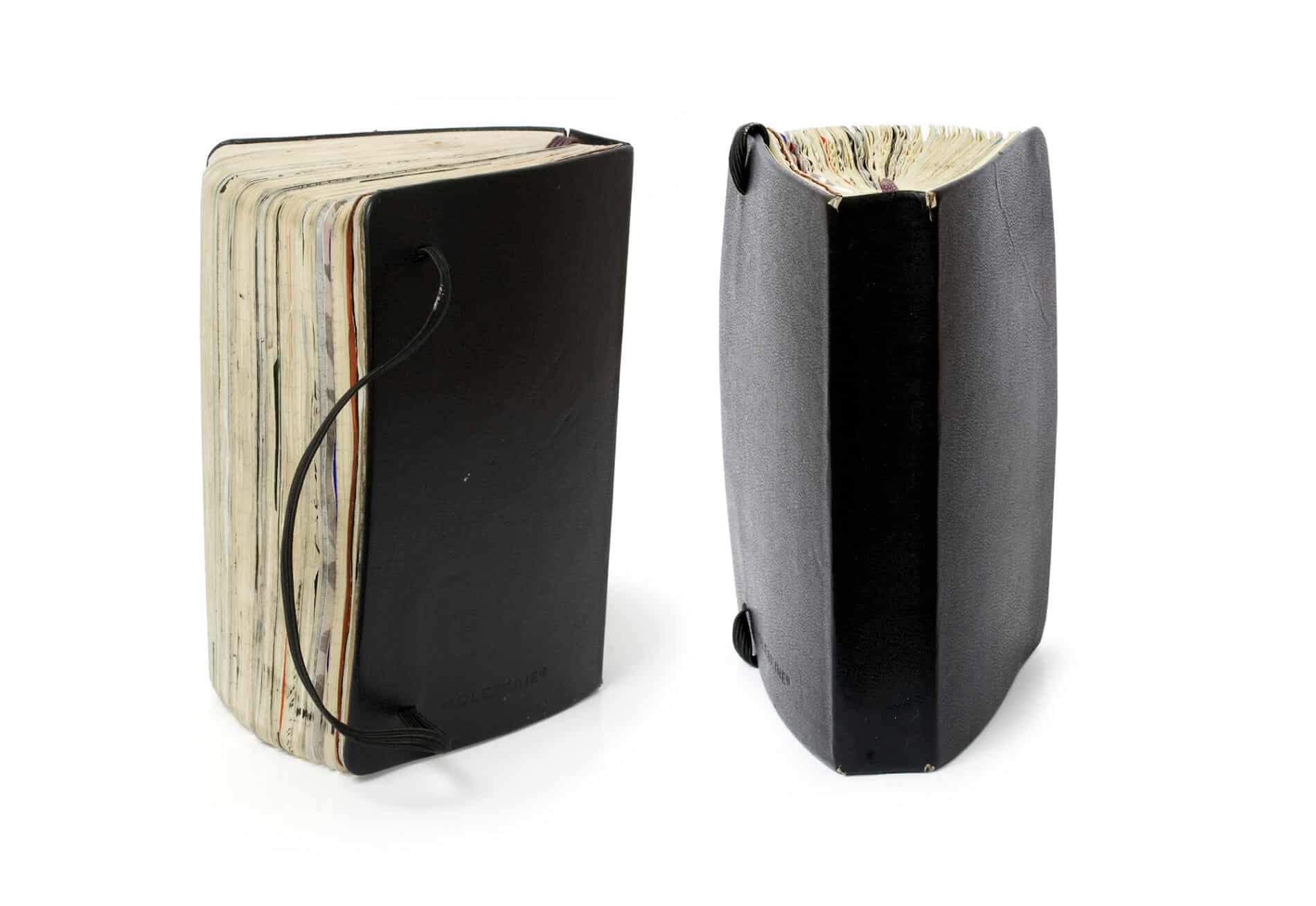 pepe carrio diario visual moleskine