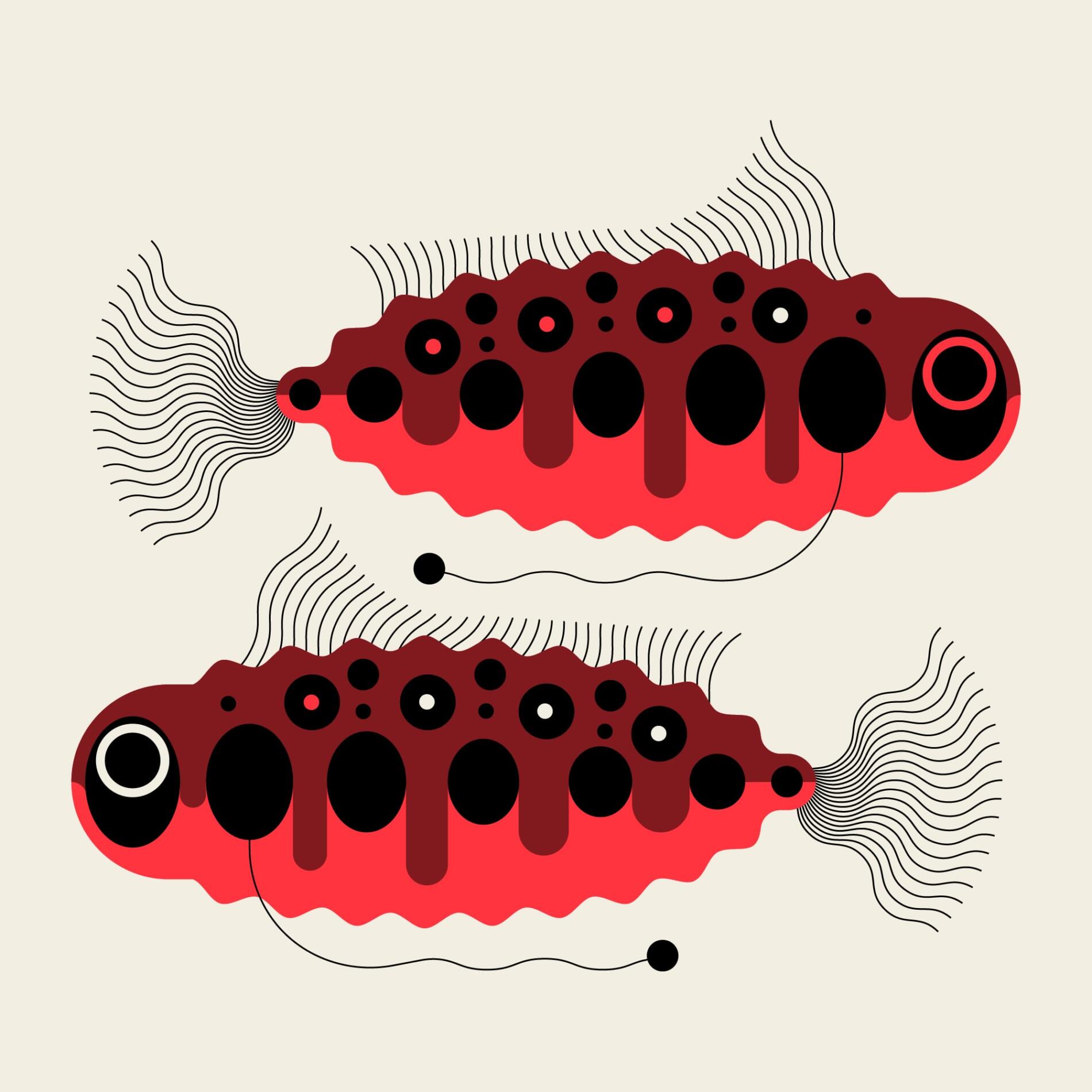 Adam G messymod peces