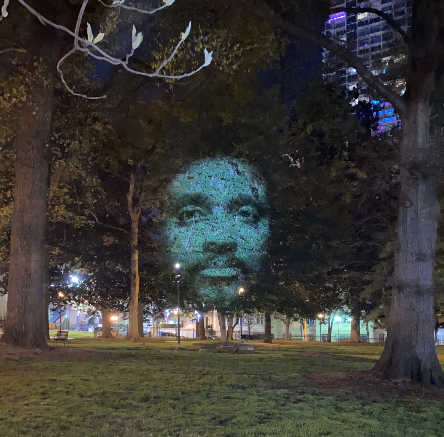 Craig Walsh, monumets arboles mapping Charlotte’s Descendents