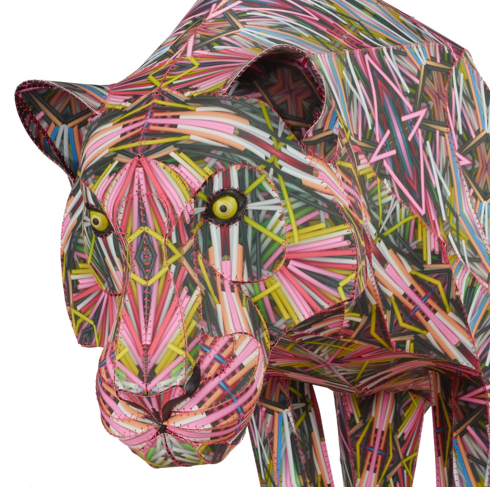 Detail of Tigris anne lemnanski