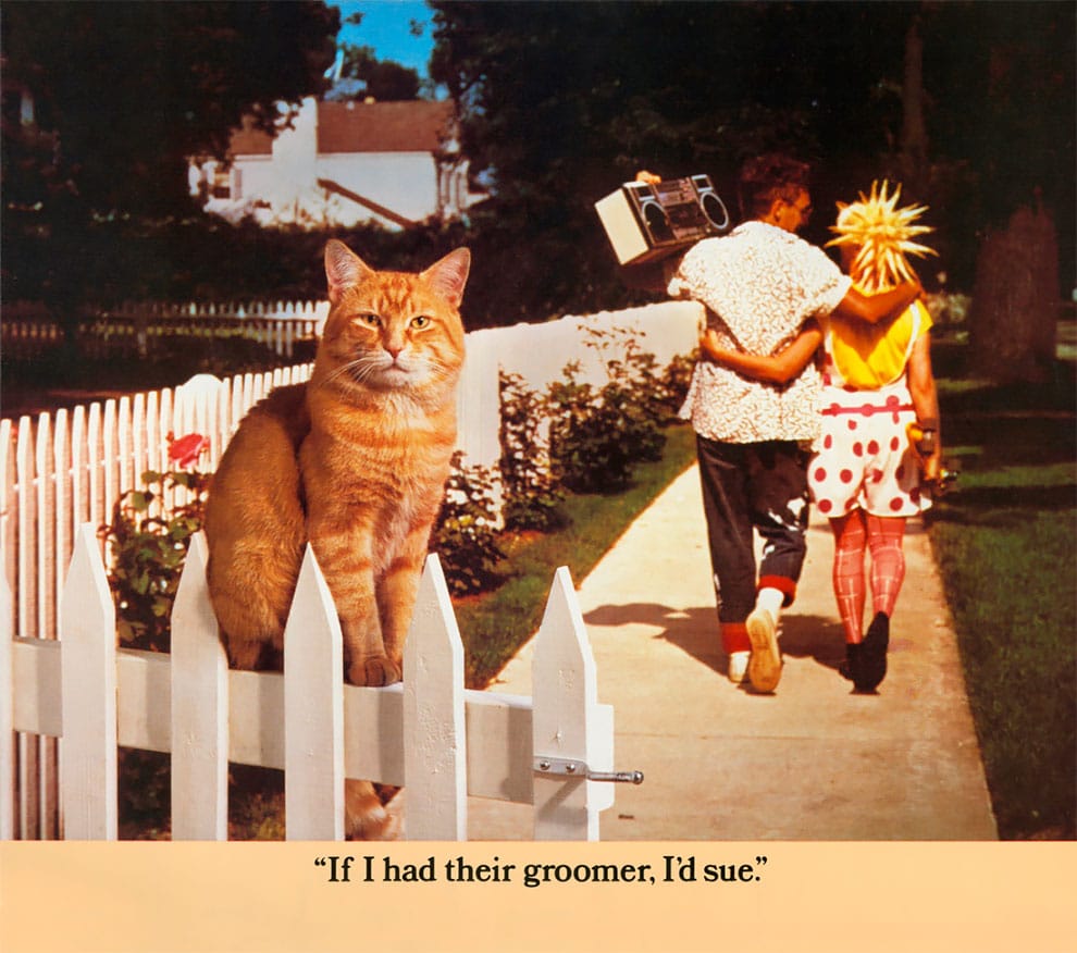 MORRIS EL GATO CALENDARIO CAT GROOMER