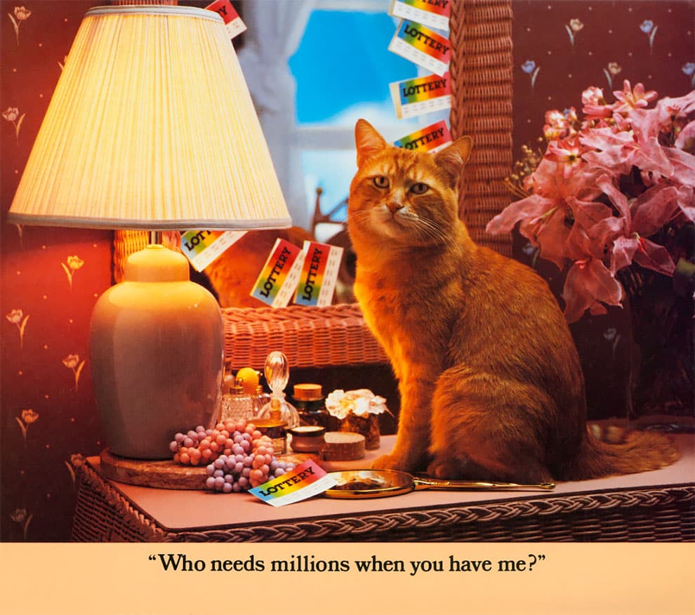 MORRIS EL GATO CALENDARIO CAT LOTTERY