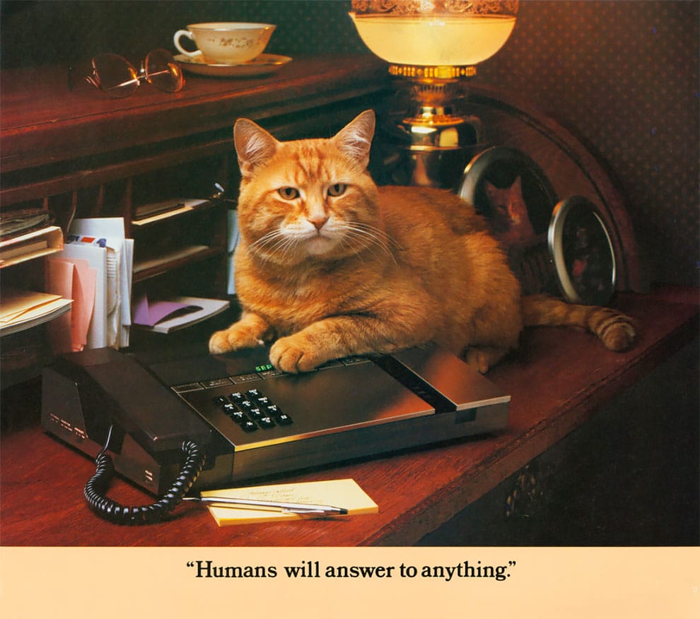 MORRIS EL GATO CALENDARIO CAT TELEPHONE