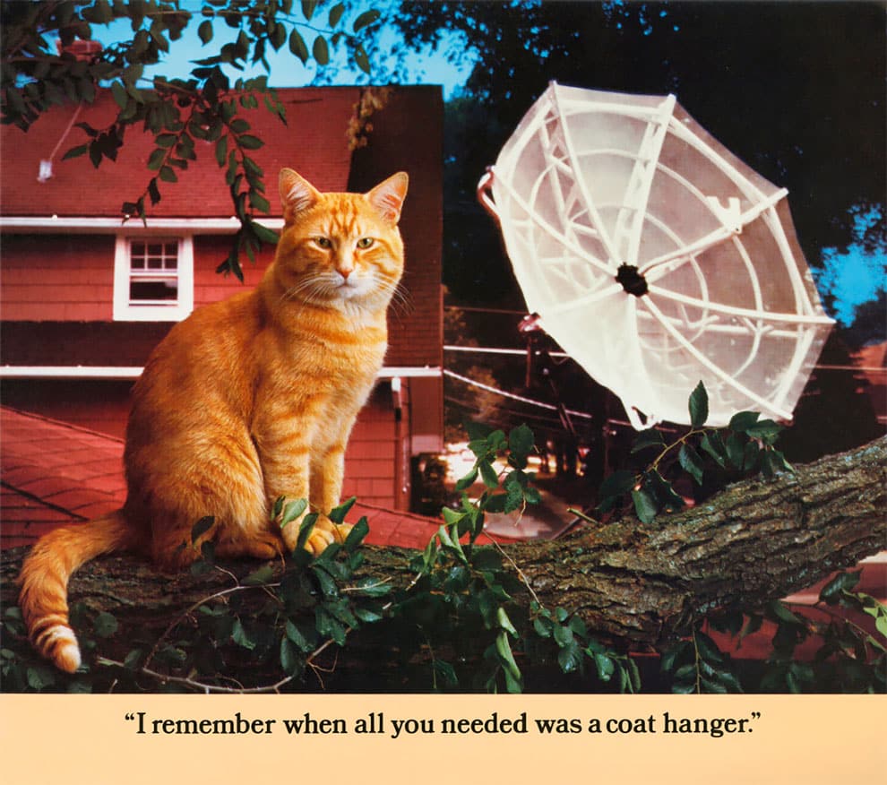 MORRIS EL GATO CALENDARIO CATS