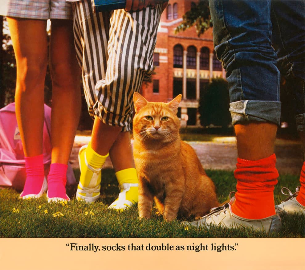 MORRIS EL GATO SOCKS