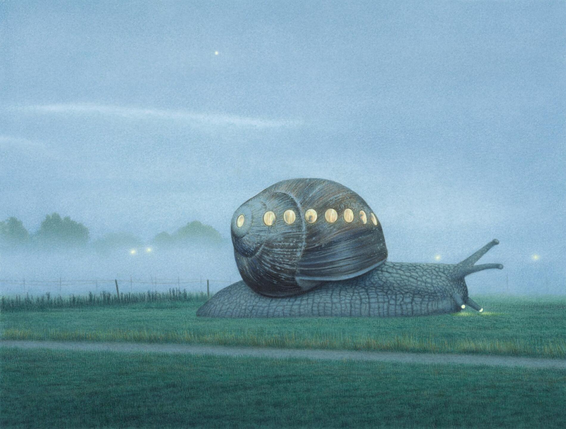 Quint Buchholz CARACOL